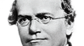 Johann Gregor Mendel Johann Gregor Mendel